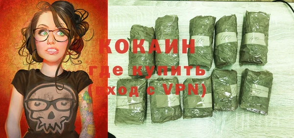 дурь Новодвинск