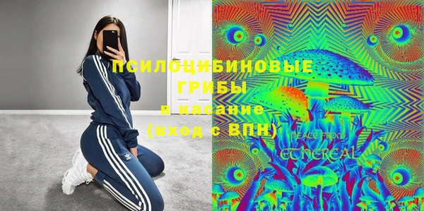дурь Новодвинск