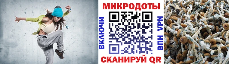 Псилоцибиновые грибы ЛСД  Новоалтайск 