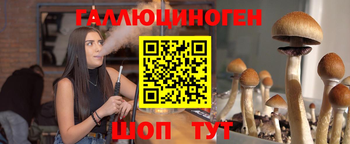 Галлюциногенные грибы Psilocybine cubensis  Вход с VPN  Псилоцибиновые грибы Cubensis  Новоалтайск 